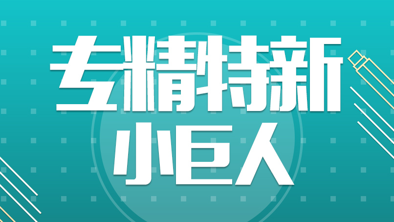 2026年北京最新财税政策解读：小微企业、高新企业税收优惠申报指南